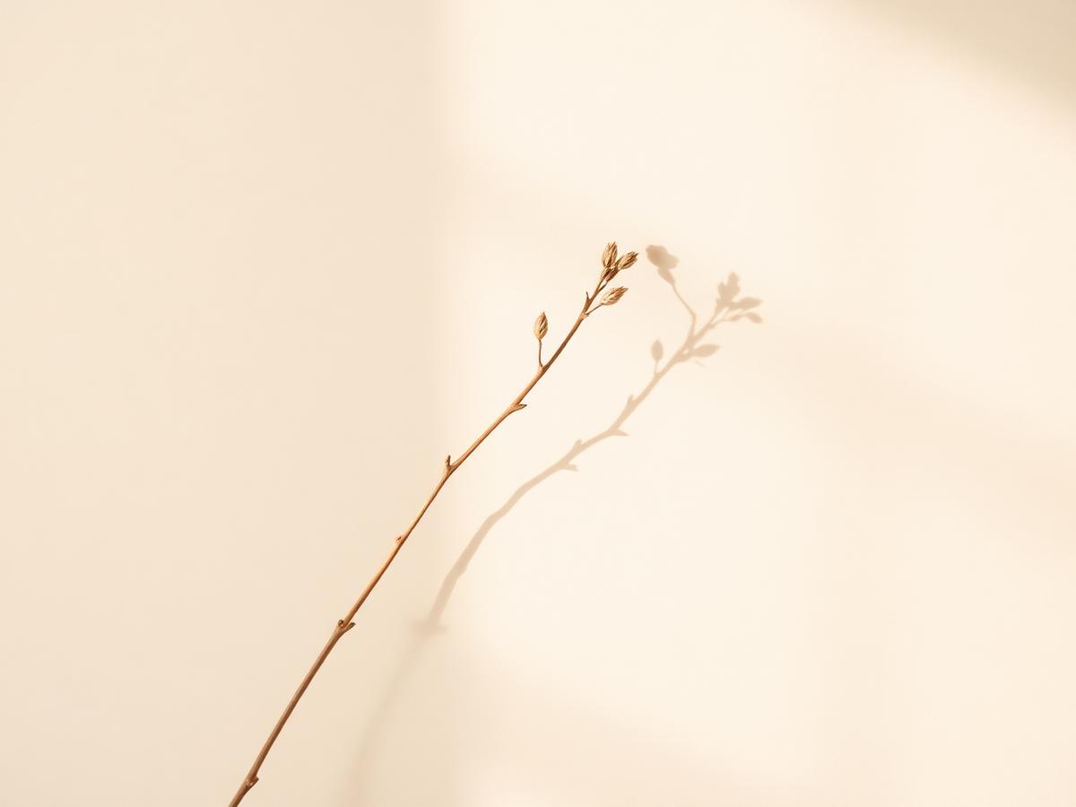 A single dried branch resting in warm light